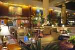 Отель Sheraton Centre (Схератон Сентре), фото 3